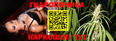 PSILOCYBIN Тулун