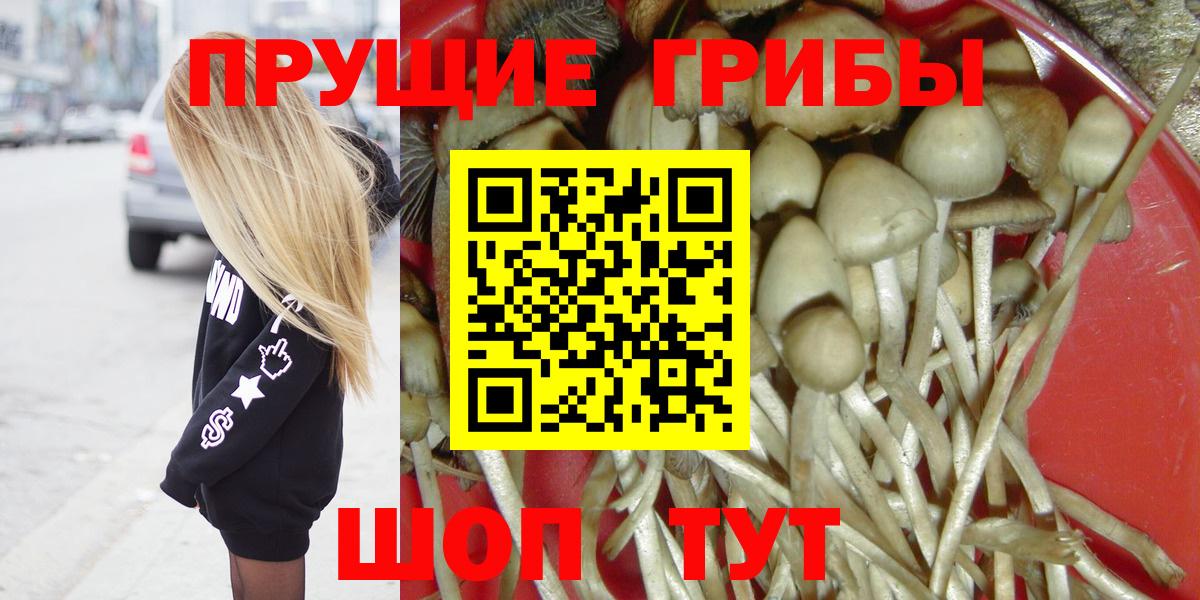 Псилоцибиновые грибы мицелий Майкоп