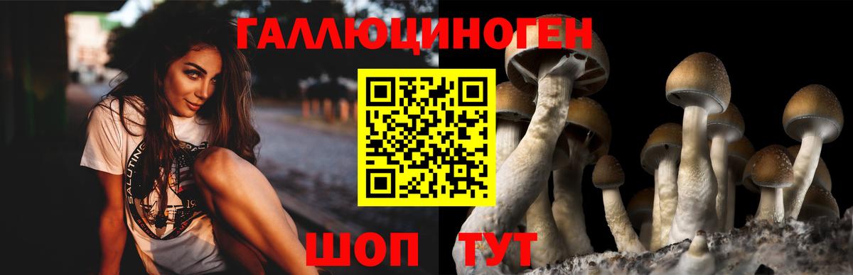Псилоцибиновые грибы GOLDEN TEACHER  Вход с VPN  Майкоп 